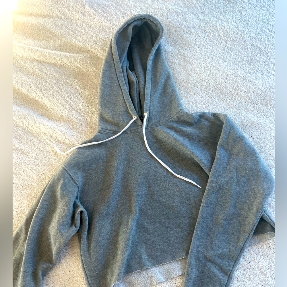 Gray Target cropped hoodie.